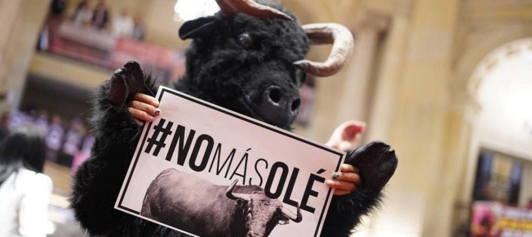 Corte Constitucional ratifica prohibición de corridas de toros y prácticas violentas con animales