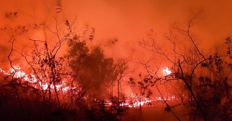 Devastador incendio forestal azota veredas de Dolores, Tolima