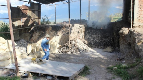 Descubren en Huila centro clandestino que procesaba huesos de animales para fabricar productos industriales
