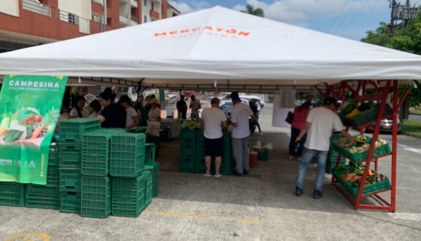 Visite este domingo la mercatón campesina 
