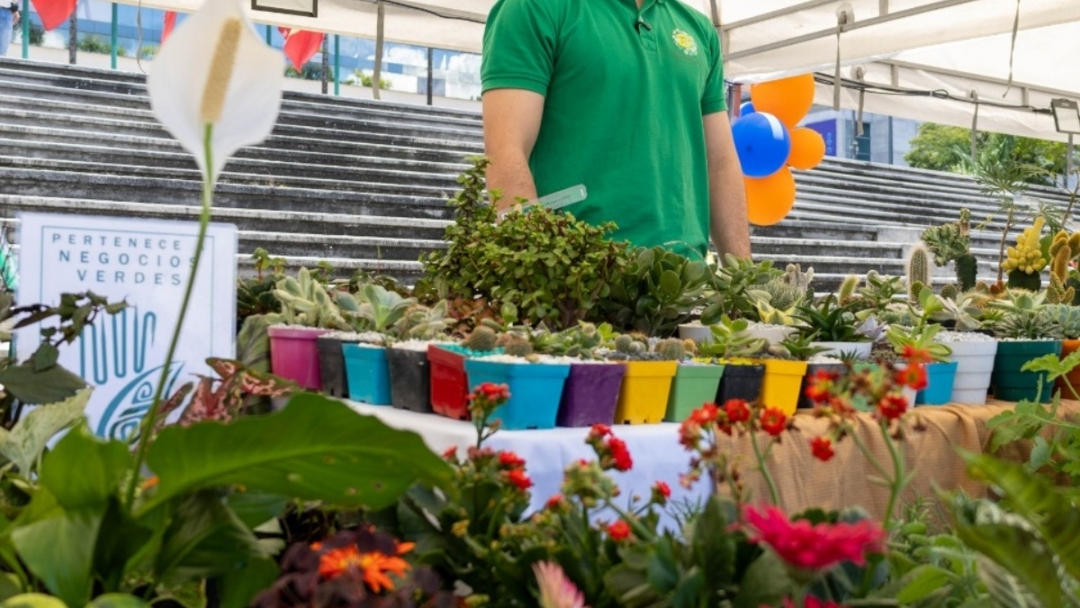 Imagen de Atención: nuevos cierres y desvíos por avance de las obras en la Nueva Intersección Corales