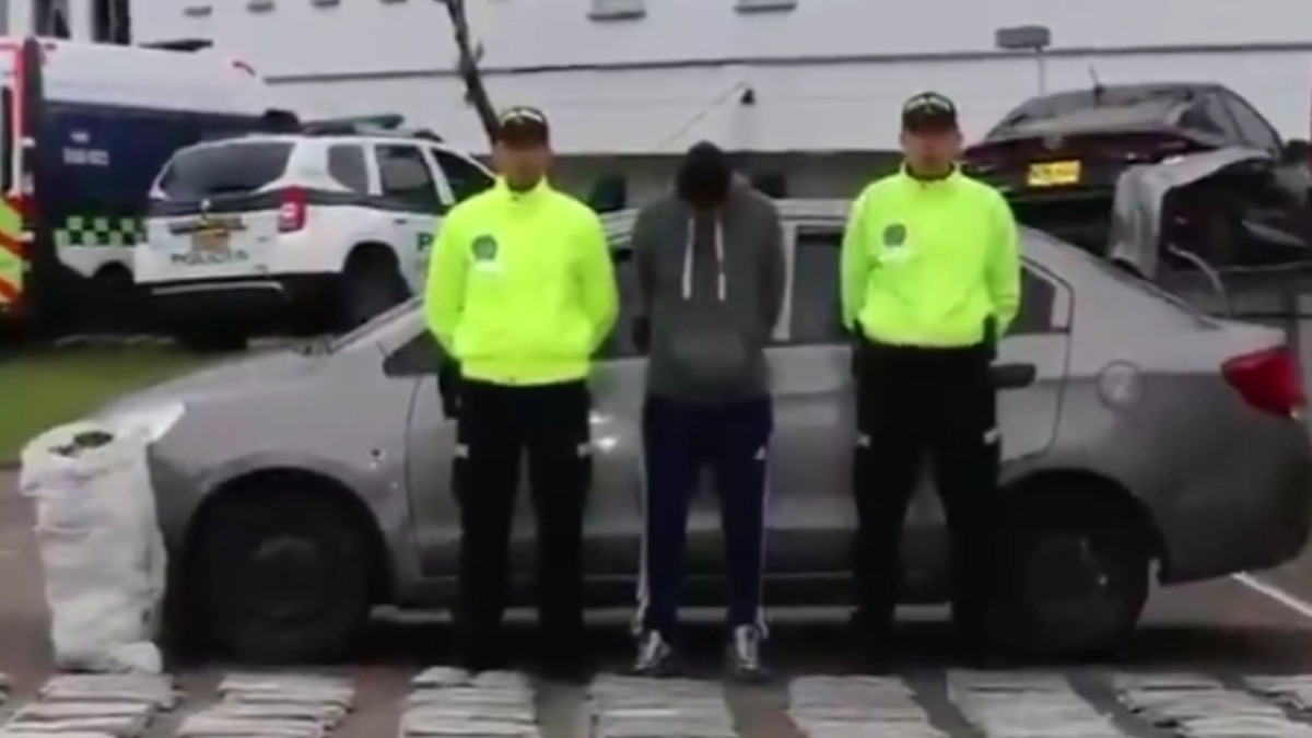 Incautan 142 kilos de marihuana creepy en Pereira destinados al grupo criminal Cordillera