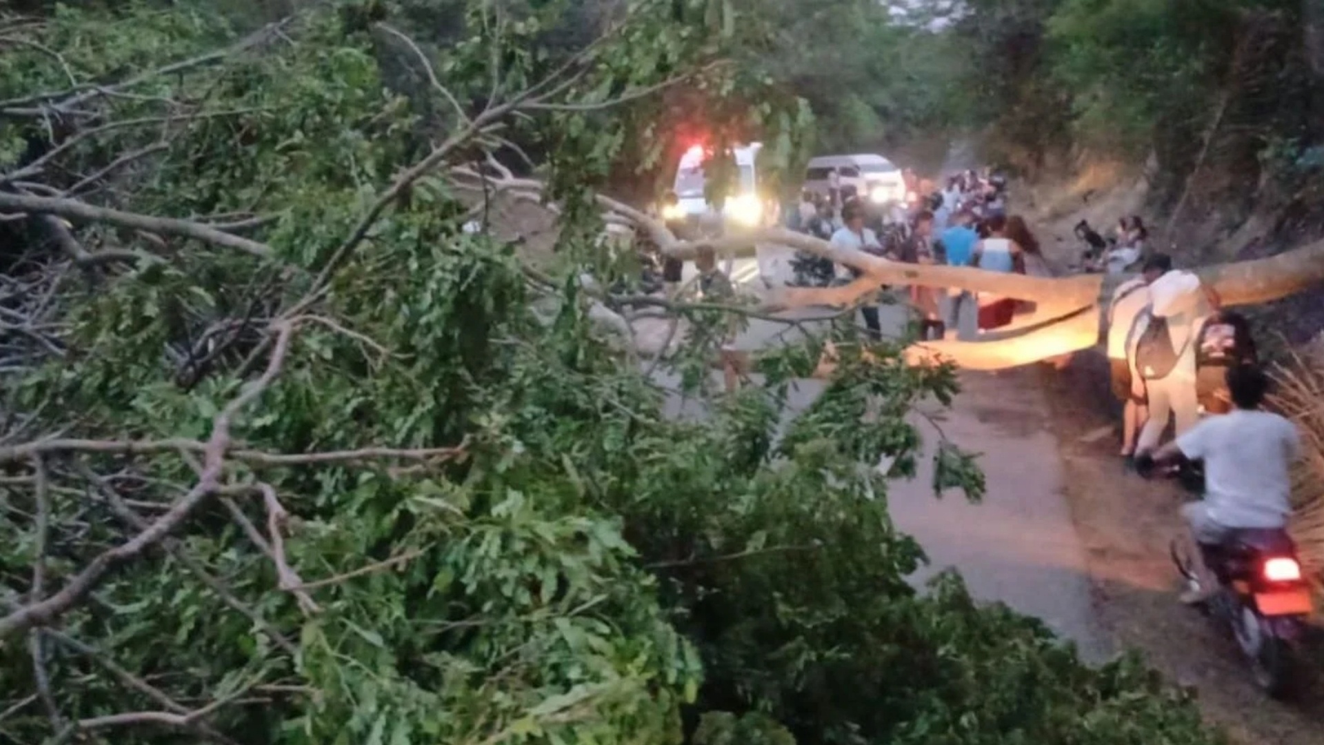 Reapertura del Parque Tayrona coincide con intensos combates y bloqueos en la Troncal del Caribe