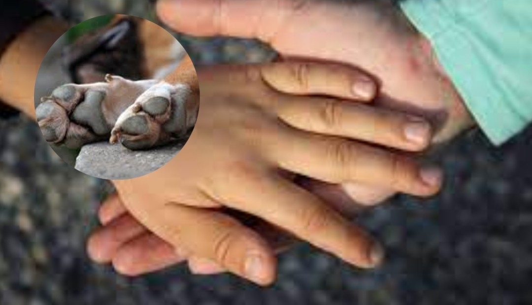 Condenan a mujer por obligar a su hijastro a vejámenes sexuales con un perro