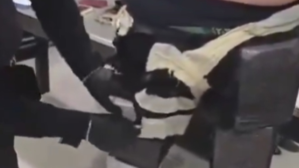 Imagen de Extranjero se disfrazó de piloto comercial para intentar sacar una carga de droga hacia España