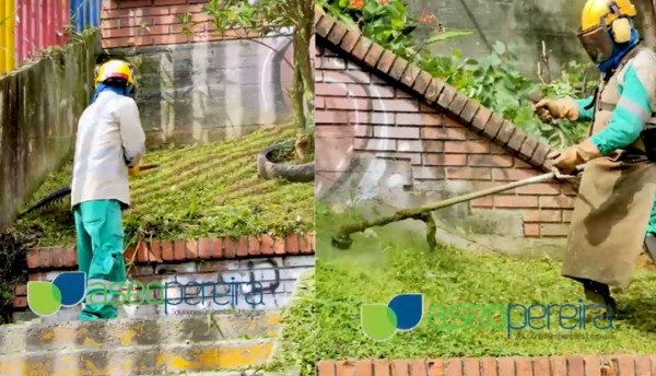 La empresa de aseo de Pereira continúa embelleciendo la ciudad
