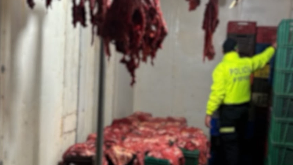 Alteraban carne de caballo enferma con químicos para venderla como res