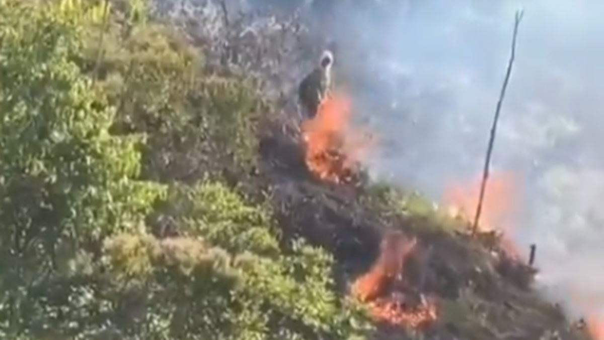 Exigen captura de sujeto grabado iniciando un voraz incendio forestal en la zona rural de Jamundí