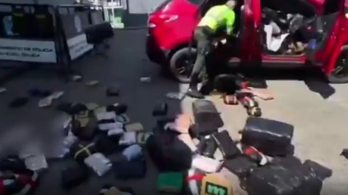 Imagen de Incautan 636 kilos de marihuana 'creepy' avaluados en $500 millones en vías del Valle del Cauca
