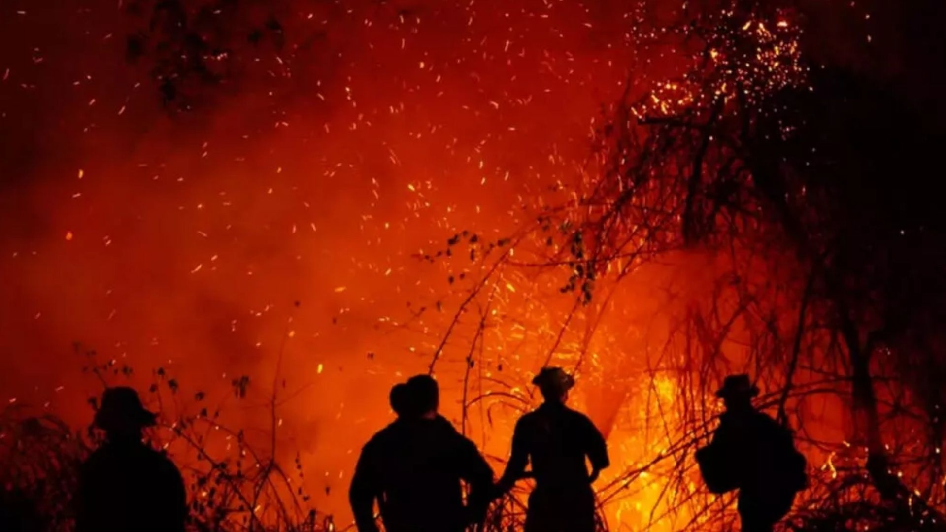 ¿Están incendiando el país? ¿Qué está pasando?