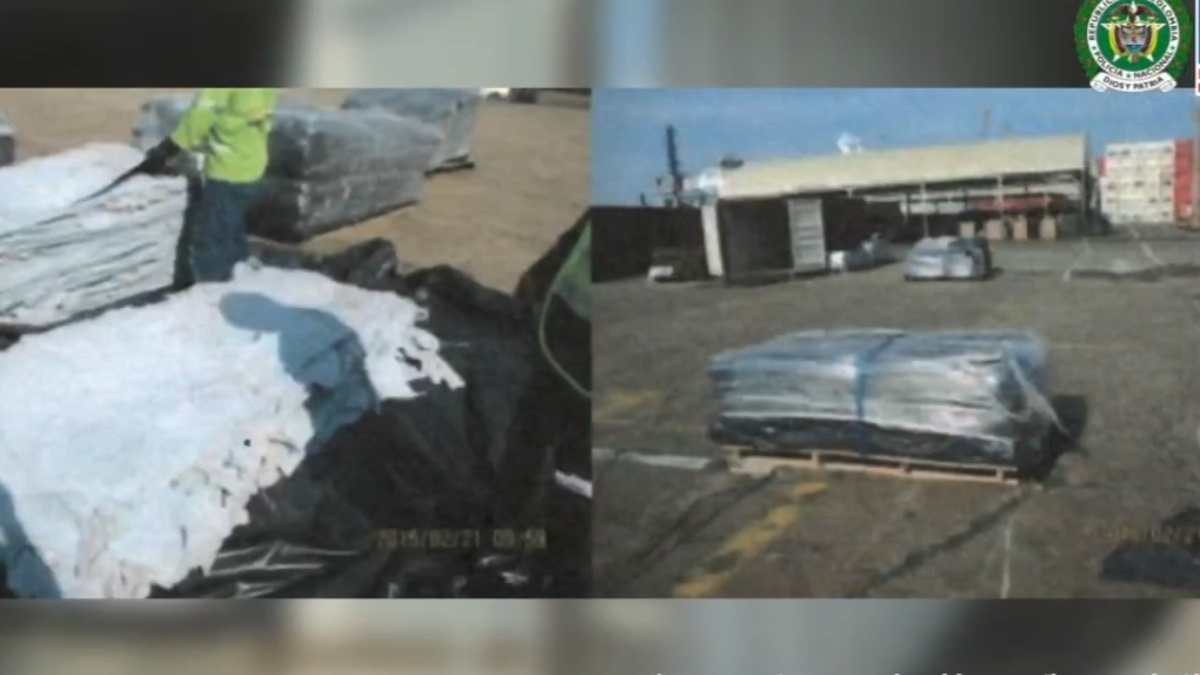 Pretendían sacar 282 kilos de cocaína impregnados en pieles desde el puerto de Cartagena