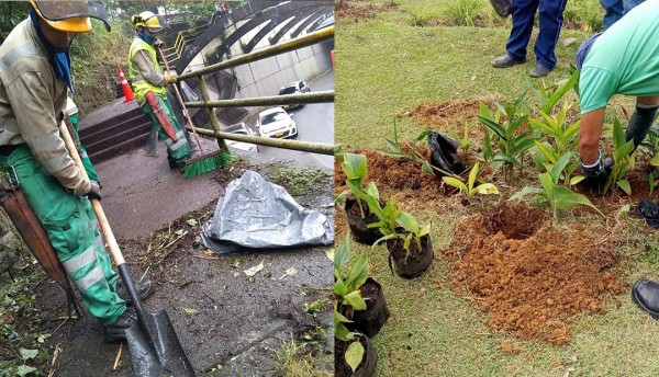    Mejorando la experiencia de acceso al Aeropuerto Internacional Matecaña