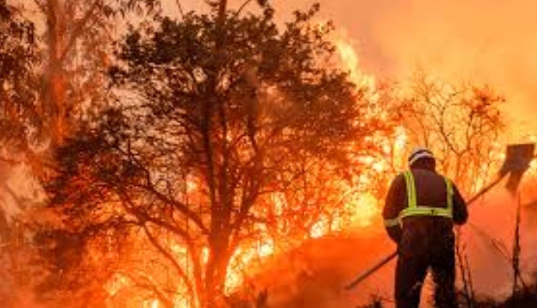 Incendios forestales en Europa son cada vez más agresivos