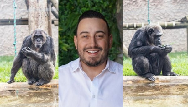 Sobre los chimpancés, “con el dolor no se hace politiquería, no se incita al odio” Juan Diego Patiño