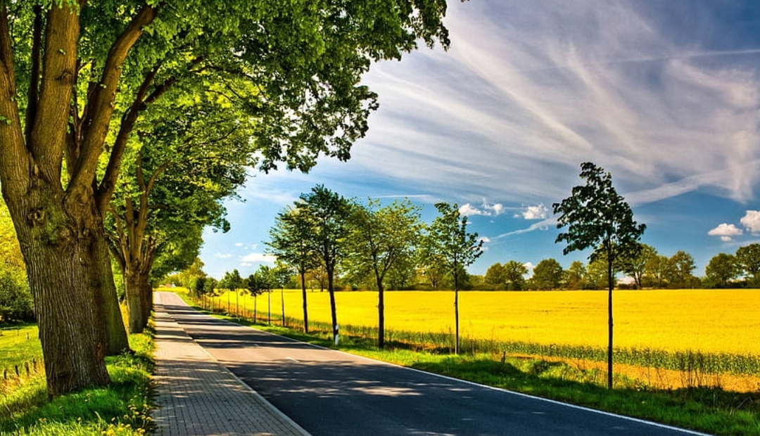 ONU confirma que julio del 2023 es el mes más cálido jamás registrado: Una alerta urgente sobre el cambio climático