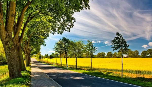 ONU confirma que julio del 2023 es el mes más cálido jamás registrado: Una alerta urgente sobre el cambio climático