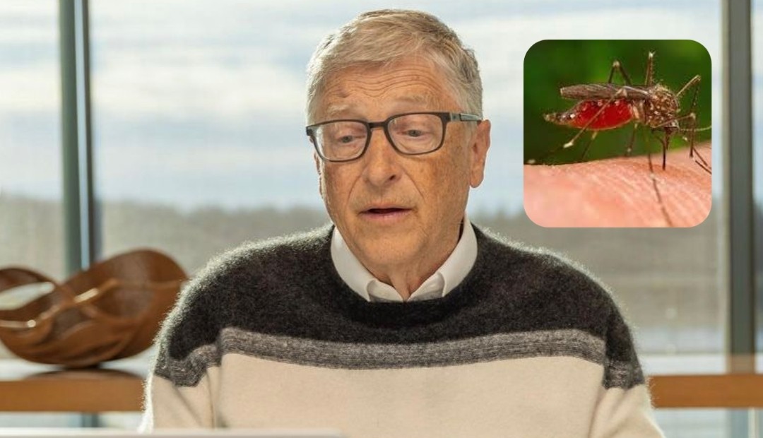 La Granja de Mosquitos de Bill Gates en Medellín, es en realidad un laboratorio de investigación