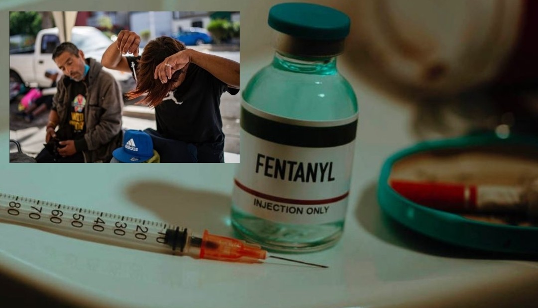 Fentanilo, la alarmante presencia de la 'Droga Zombie' en las calles de Colombia