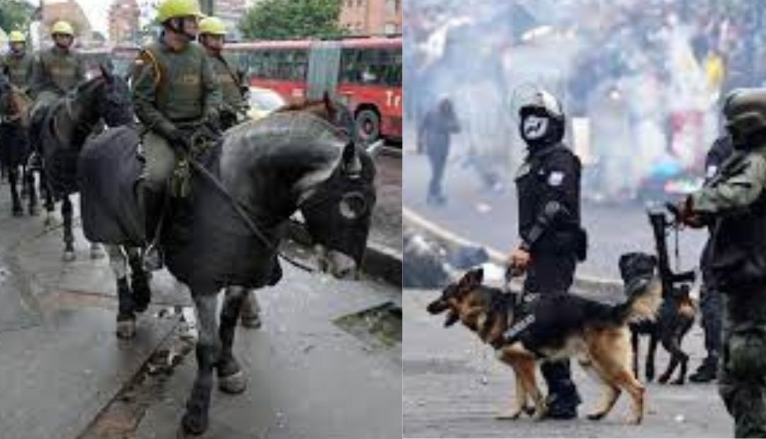Se prohíbe el uso de uso de animales para dispersar manifestaciones