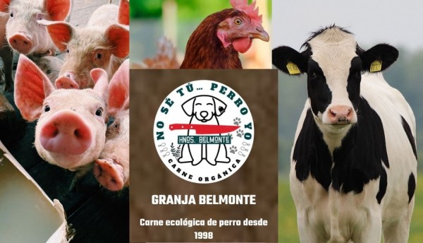 ¿Comería carne de perro?, aquí puede conseguirla a la carta