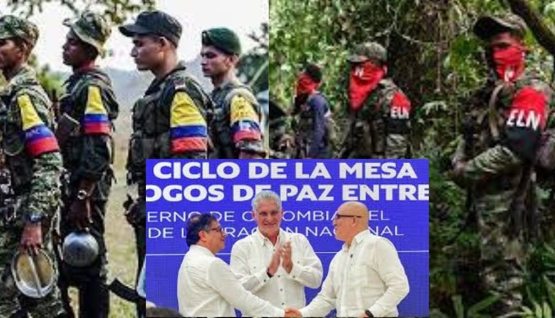 Estas son la cantidad de veces que el ELN y Disidencias de las FARC han violado el cese al fuego
