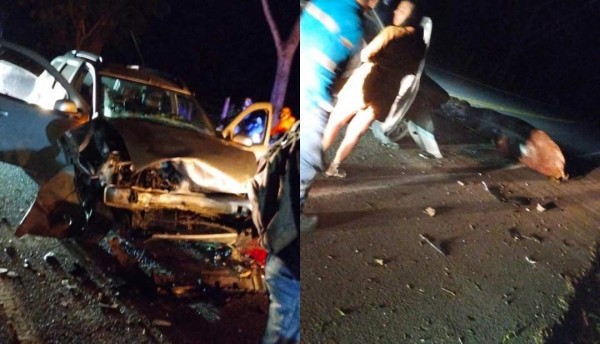 Hipopótamo fue atropellado en Puerto Triunfo