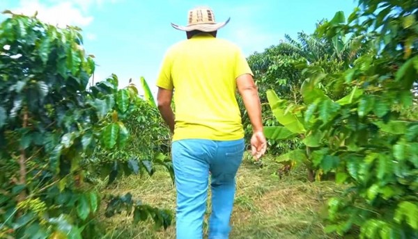 La historia detrás de Café Aurora, un emprendimiento local 