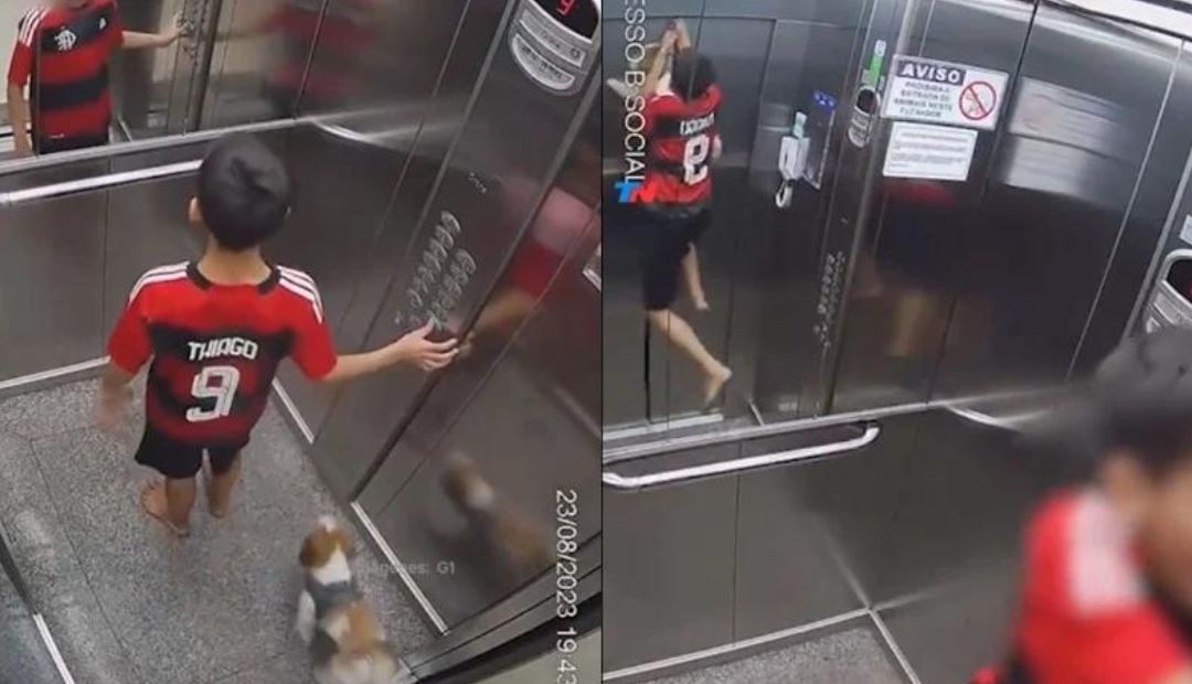 Valiente niño salva a su perrita de un peligroso incidente