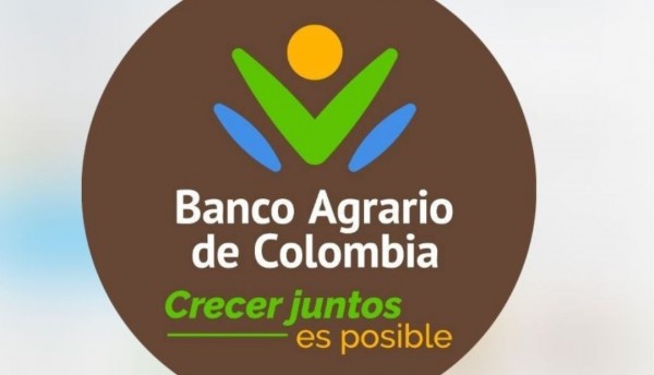 Disidencias de las FARC Dejan rastro de destrucción y saqueo en Banco Agrario de Jambaló, Cauca