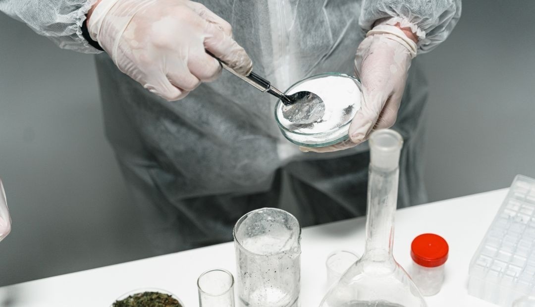 Colombia alcanza cifras históricas en cultivos de coca, 230 mil hectáreas en 2022