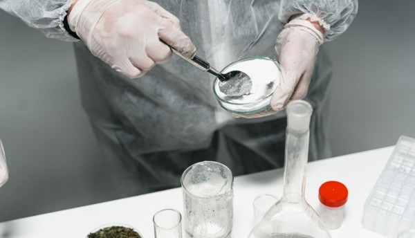 Colombia alcanza cifras históricas en cultivos de coca, 230 mil hectáreas en 2022