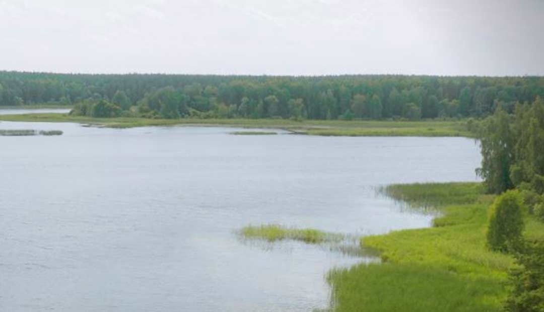 Protección a los humedales en Dosquebradas con apoyo de CARDER