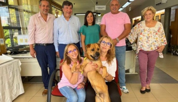 Empresa contrata a un perro para brindar "amor y cariño" a sus empleados