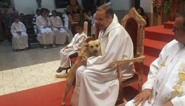 Sacerdote que recoge perros de la calle y los ofrece en adopción en la misa 