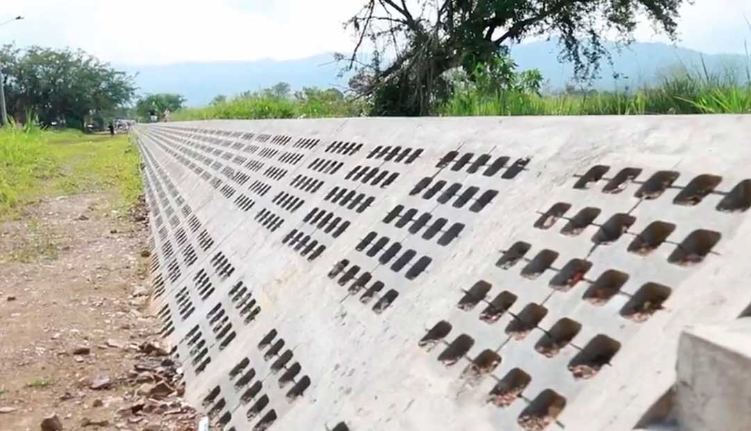 CARDER visitó 7 Km de jarillones construidos en La Virginia