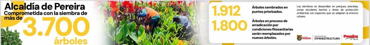 Banner de 