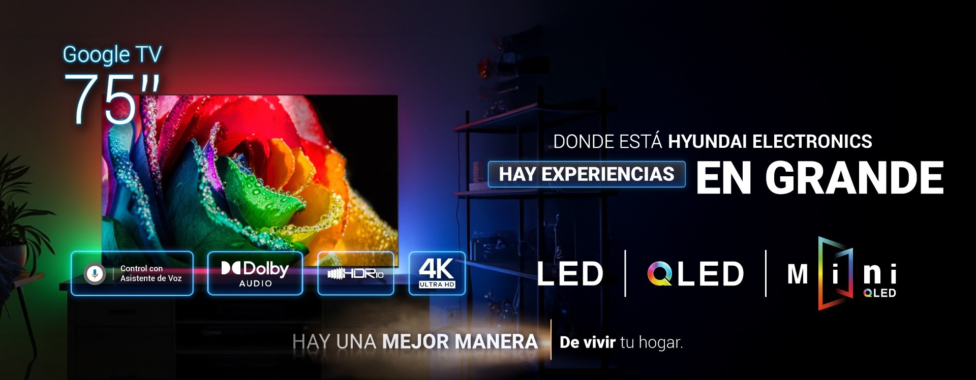 Google TV