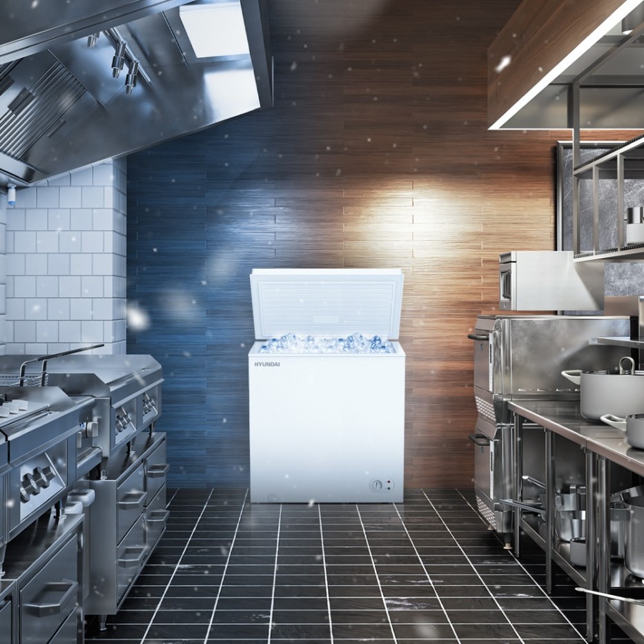 Congelador HYUNDAI Dual 300 LT Frost