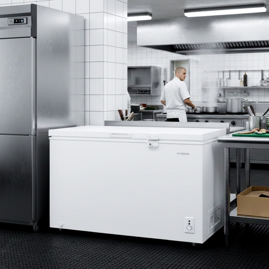 Congelador HYUNDAI Dual 400 LT