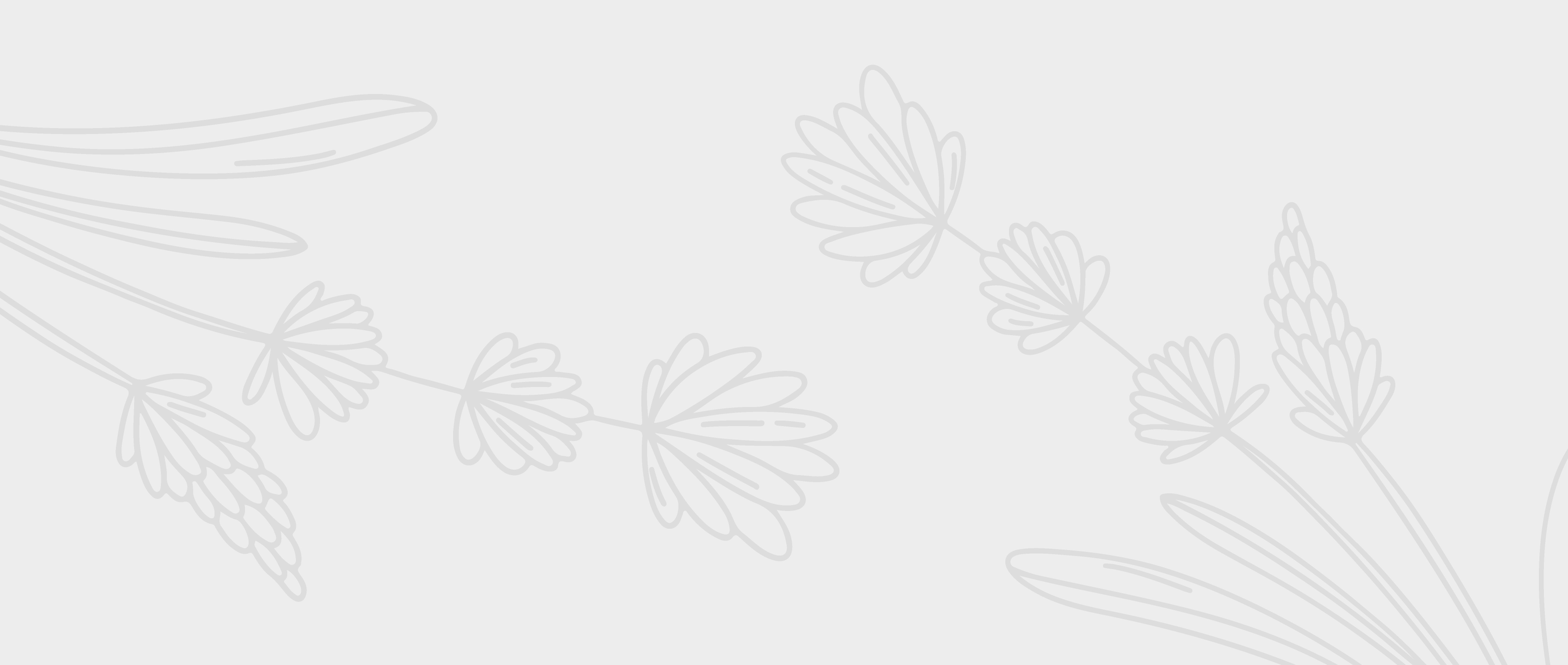 Banner de la página
