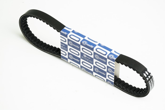 CORREA TRANSMISION DAZZ110 CASSARELLA