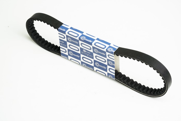 CORREA TRANSMISION VICTORY BLACK 830*20 CASSARELLA