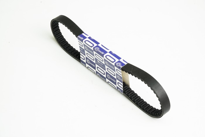 CORREA TRANSMISION VICTORY LIFE 842*20 CASSARELLA