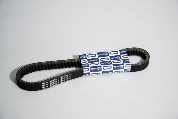 CORREA TRANSMISION NMAX150/155 CASSARELLA