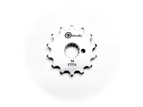 PIÑON SALIDA - 14 AKT TT ADVENTOUR 250 - PASO 520 - CASSARELLA