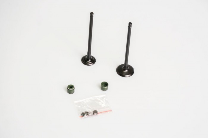 VALVULAS KIT ADMISION Y ESCAPE CON SELLOS CASSARELLA + PULSAR NS160 TD|PULSAR NS 160 FI SET-4 (372-JAP)