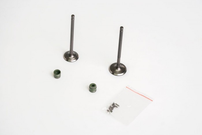 VALVULAS KIT ADMISION Y ESCAPE CON SELLOS CASSARELLA +PLATINO 110 (372-JAP) (36-PF00-48)