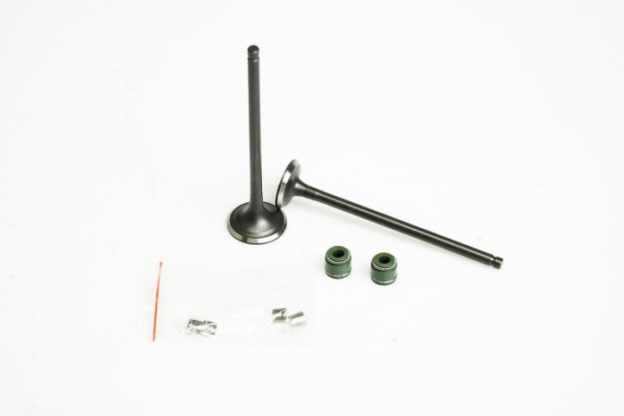 VALVULAS KIT ADMISION Y ESCAPE CON SELLOS CASSARELLA + TVS RAIDER125|NTORQ (372-JAP)