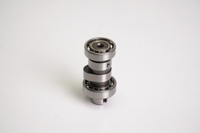 ARBOL DE LEVA CASSARELLA PLATINO100 (028)