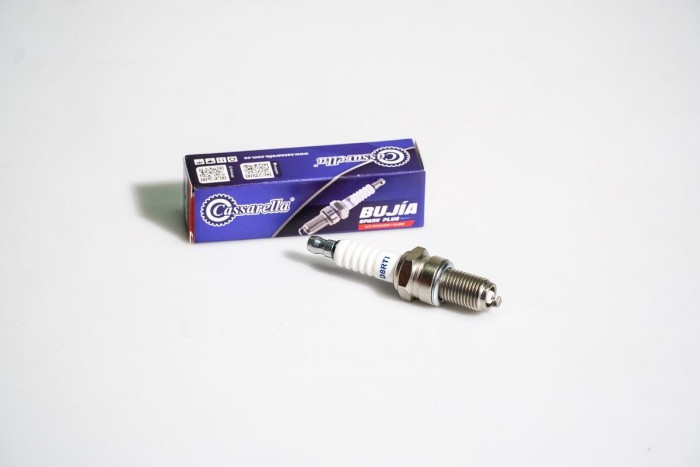 BUJIA CASSARELLA IRIDIUM D8RTI CG125/XT225/XTZ250/YBR250/XL125/XLR125/NXR125/CBZ150/XL200/ 12mm ROSCA LARGA (861)